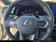 2025 LEXUS RX 350 Premium Plus SUV