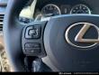2020 LEXUS NX 300 SUV