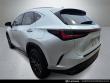 2025 LEXUS NX 350h Premium SUV