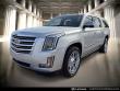 2020 CADILLAC Escalade ESV Platinum SUV