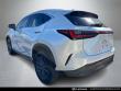 2022 LEXUS NX 250 Luxury SUV