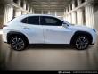 2024 LEXUS UX 250h SUV