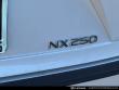2024 LEXUS NX 250 SUV