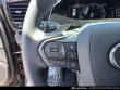 2025 LEXUS NX 250 Premium SUV