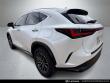 2023 LEXUS NX 250 SUV