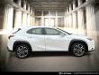 2025 LEXUS UX 300h SUV