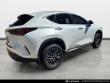 2024 LEXUS NX 350h Premium SUV
