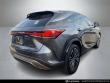2025 LEXUS RX 350 Premium Plus SUV