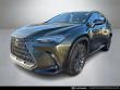 2024 LEXUS NX 250 Premium SUV