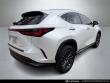 2023 LEXUS NX 250 SUV
