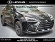 LEXUS NX 250
