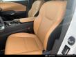 2025 LEXUS RX 350 Base SUV