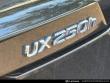 2019 LEXUS UX 250h F SPORT SUV