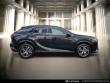 2025 LEXUS RX 350 Premium SUV