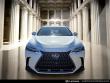 2025 LEXUS NX 350h Premium SUV