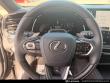 2025 LEXUS RX 350 Premium SUV