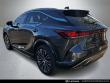 2024 LEXUS RX 350 Premium Plus SUV