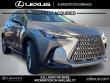 2025 LEXUS NX 350h Luxury SUV