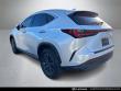 2024 LEXUS NX 250 SUV