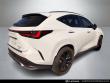 2024 LEXUS NX 350 F SPORT Handling SUV