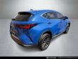 2023 LEXUS NX 350 SUV