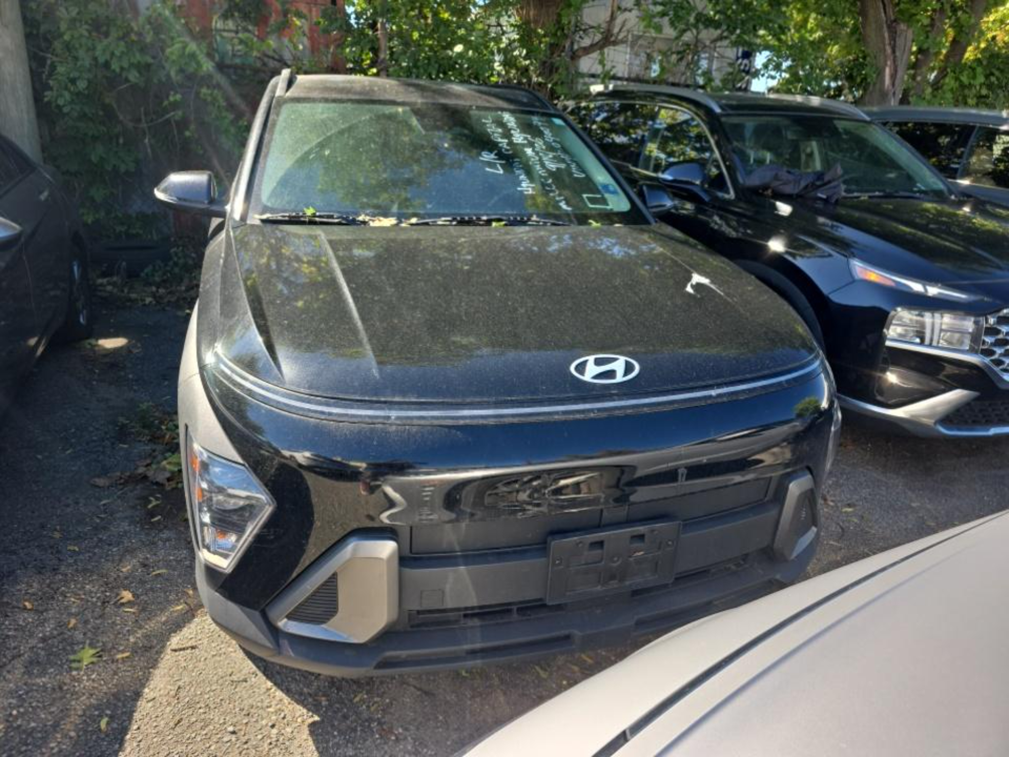 Used 2024 Hyundai Kona SEL Sport Utility