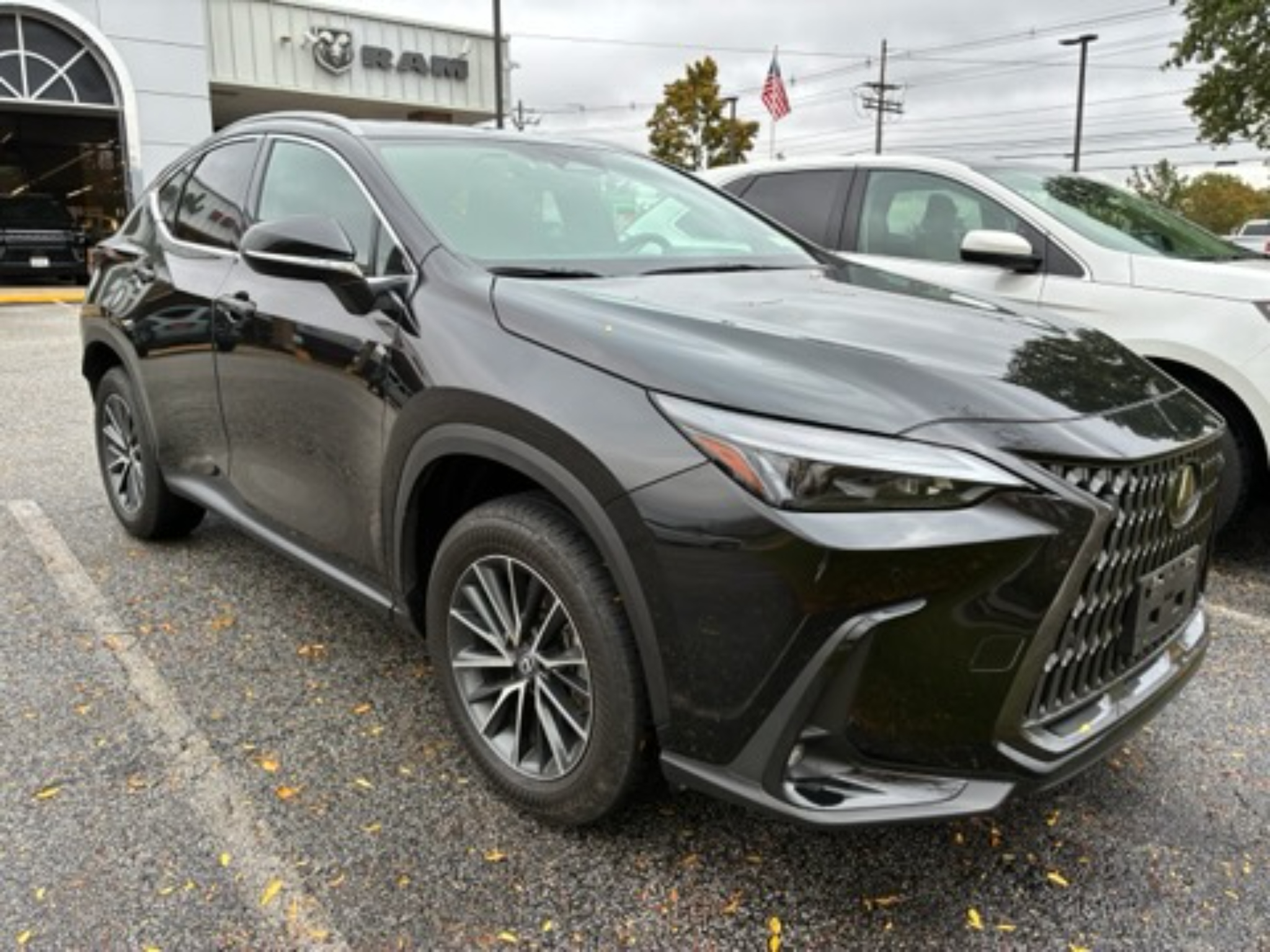 Used 2025 Lexus NX 350 Premium Sport Utility