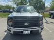 Used 2025 Ford F-150 XLT Crew Cab