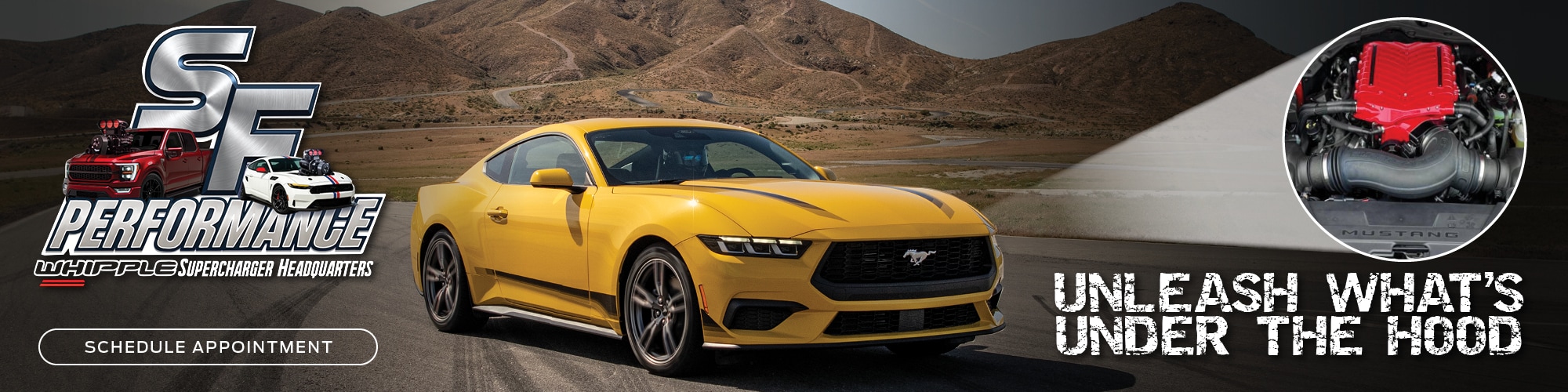 Surprise Whipple Chargers