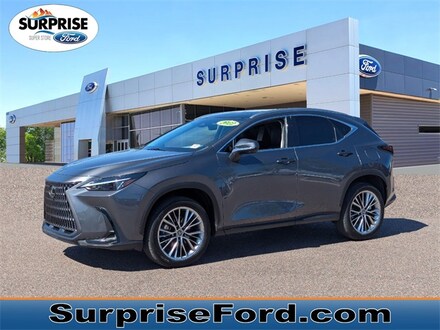 2022 LEXUS NX 350 Luxury SUV