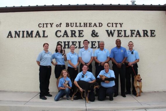 Swanty S Supports The Bullhead City Animal Care Welfare Shelter Learn More