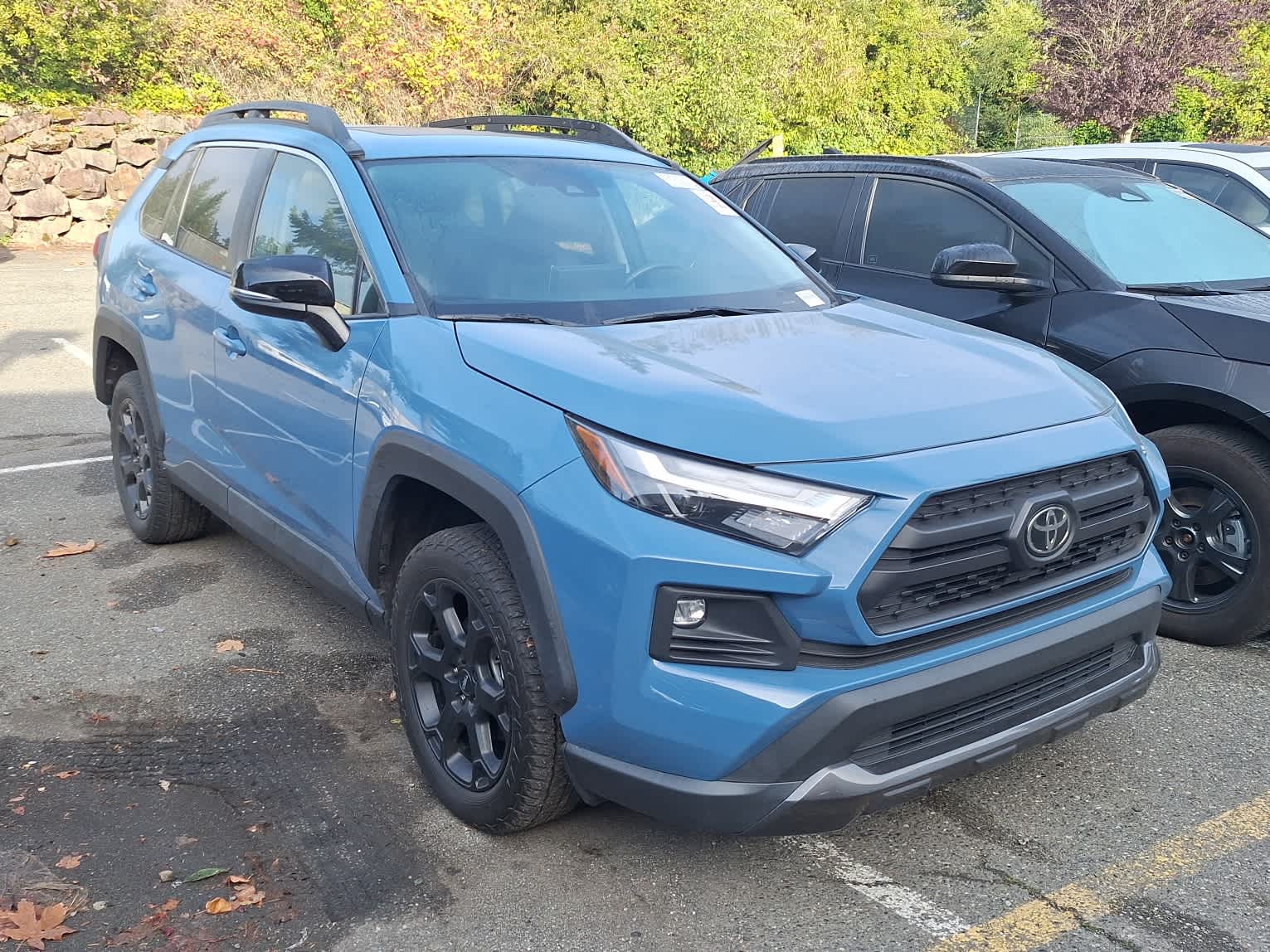 2022 Toyota RAV4 TRD photo 2