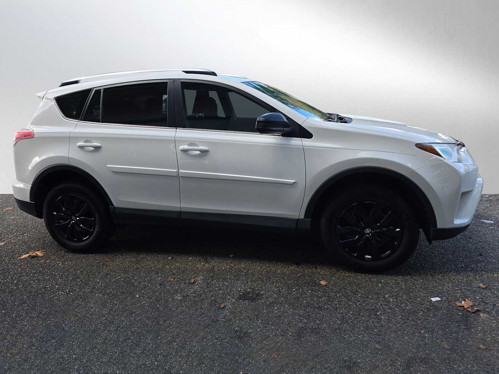 2016 Toyota RAV4 LE photo 2