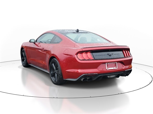 2023 Ford Mustang EcoBoost Premium photo 4