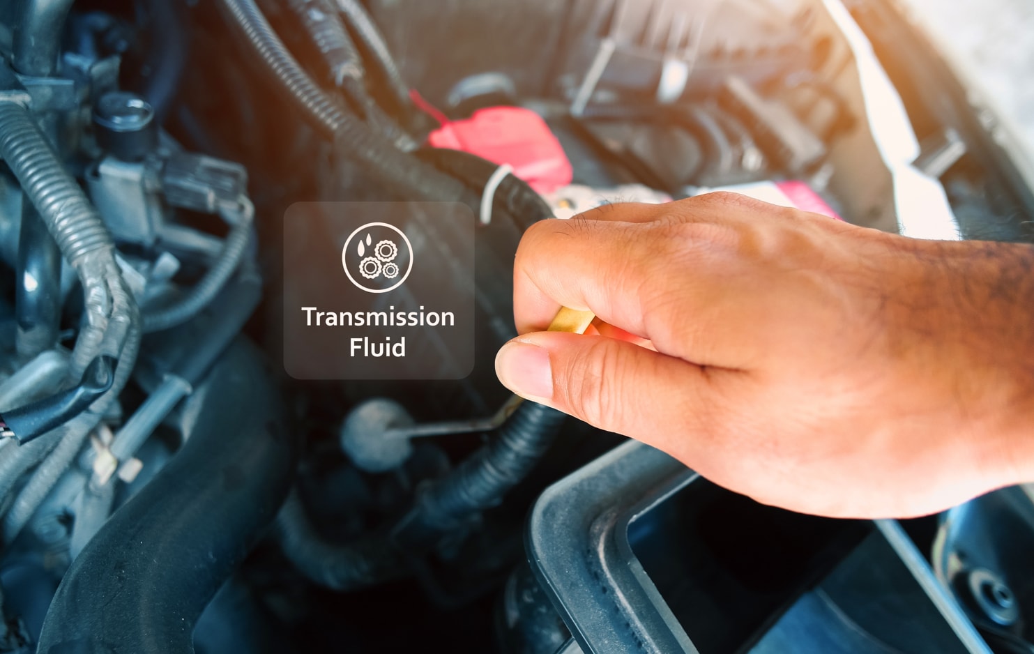 A service technician checking the transmission fluid of a vehicle