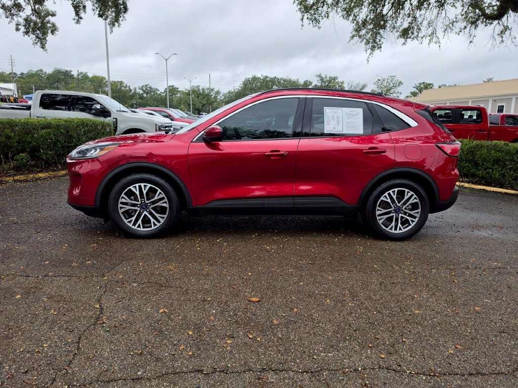 Used 2020 Ford Escape SEL SUV