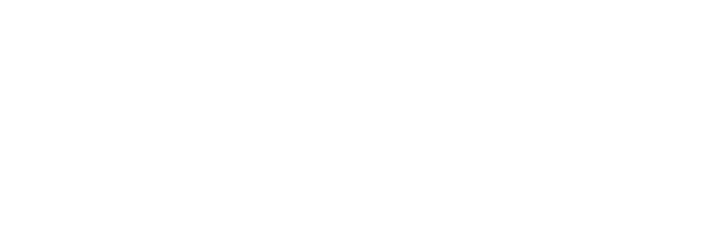 Tampa Bay Luxury Automotive