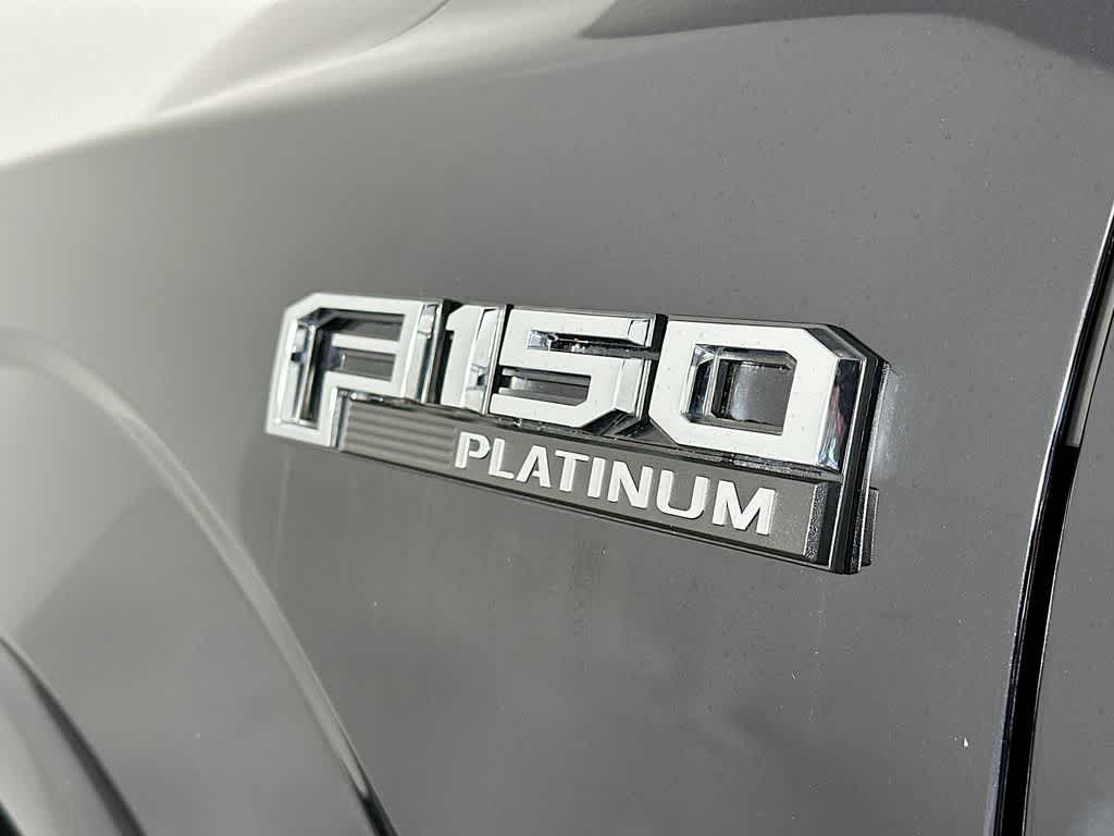 2019 Ford F-150 Platinum 7