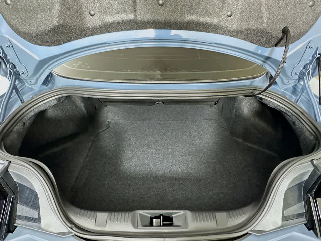 Thumbnail: 2025 Ford Mustang - 19