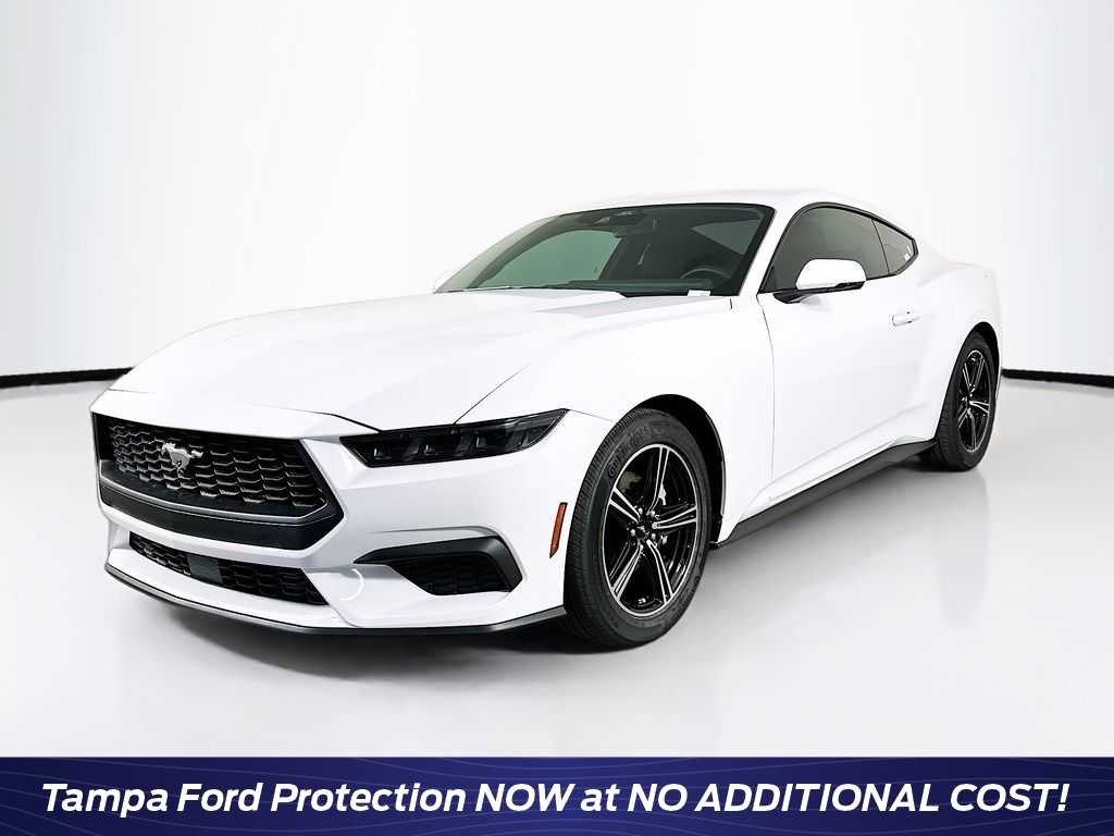 2025 Ford Mustang  -
                  Tampa, FL