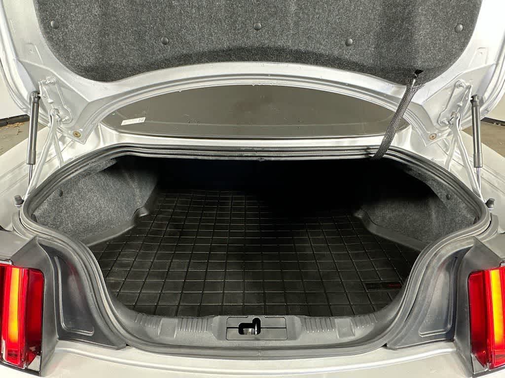 Thumbnail: 2017 Ford Mustang - 19