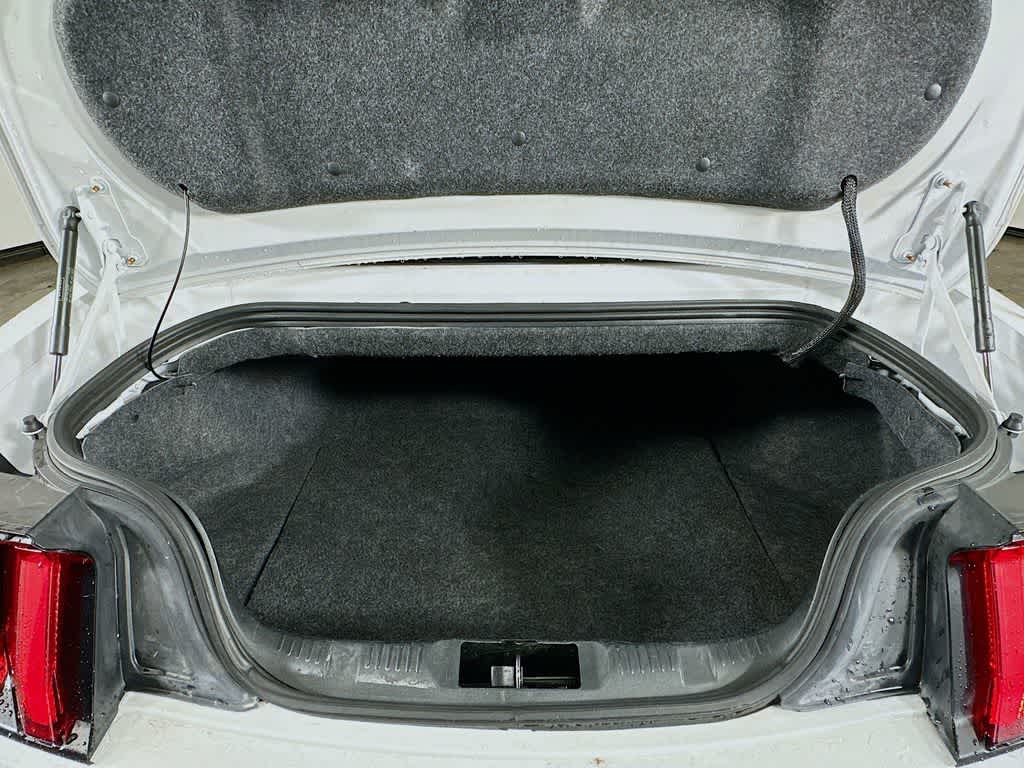 Thumbnail: 2019 Ford Mustang - 19