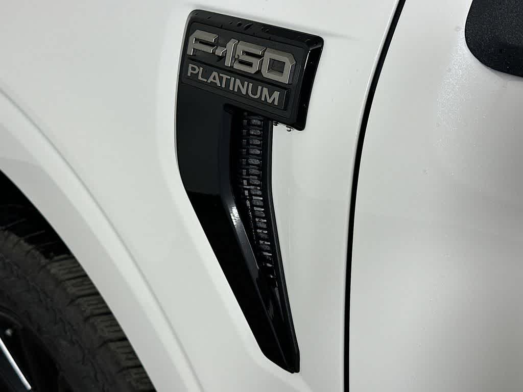 2025 Ford F-150 Platinum 7