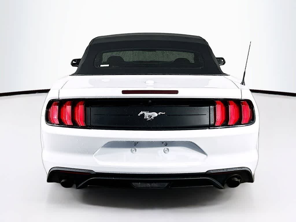 Thumbnail: 2019 Ford Mustang - 5