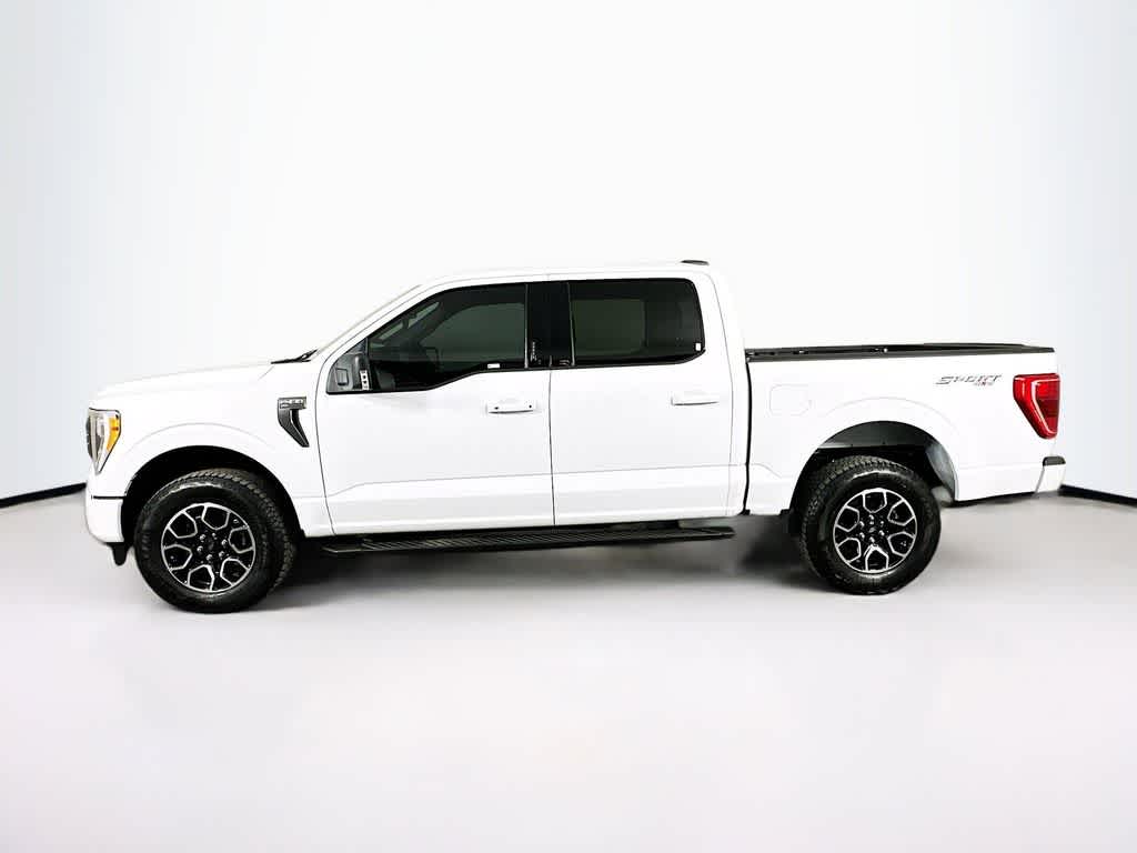 2023 Ford F-150 XLT 3
