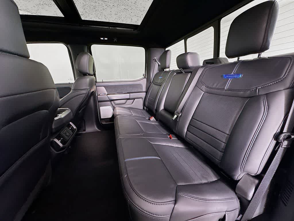 2025 Ford F-150 Platinum 14