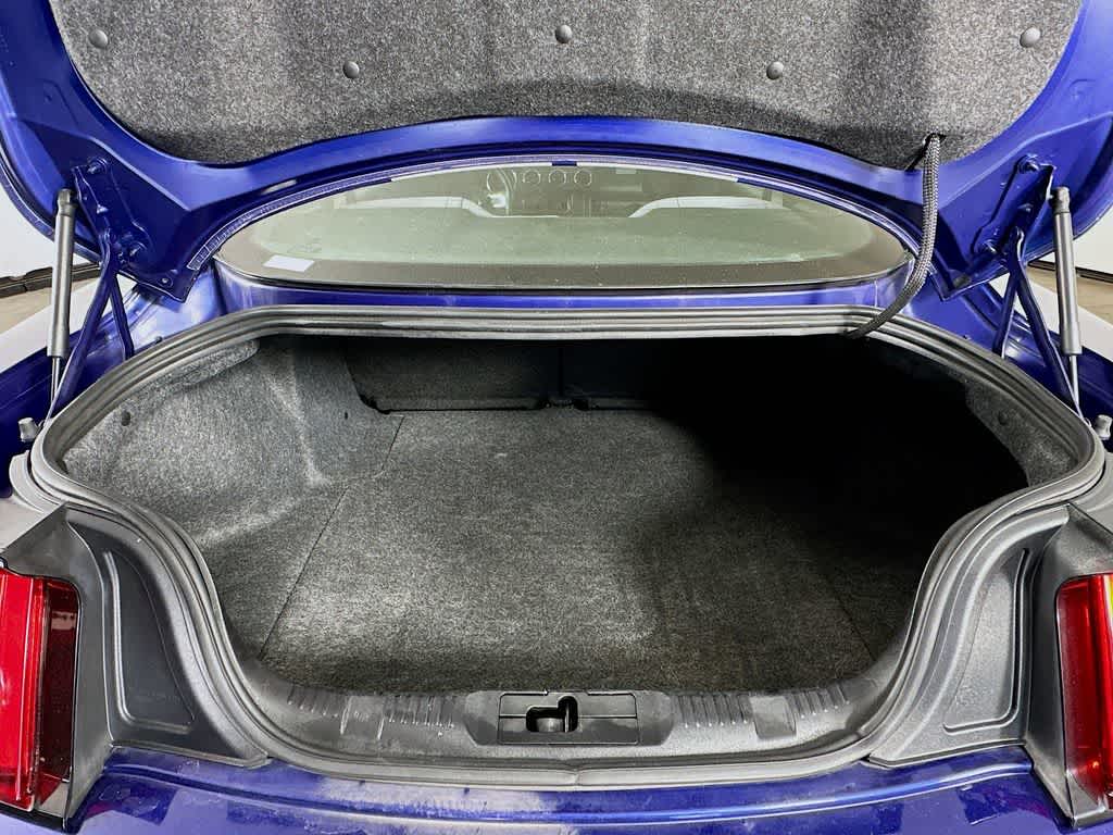 Thumbnail: 2016 Ford Mustang - 19