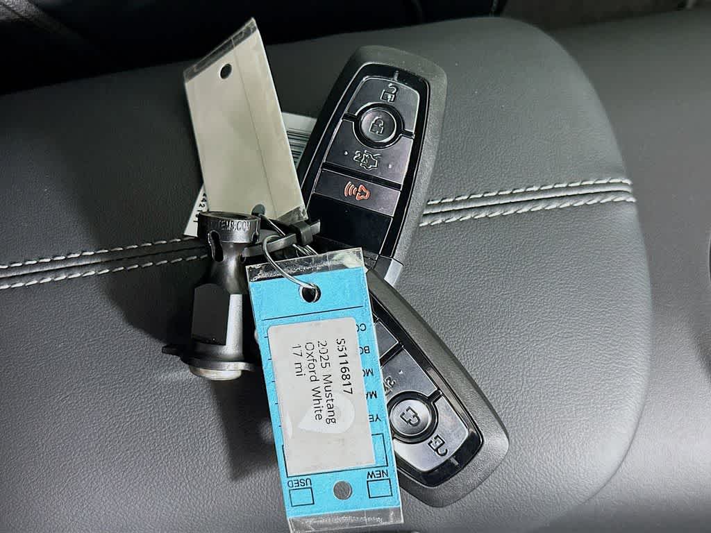 Thumbnail: 2025 Ford Mustang - 20