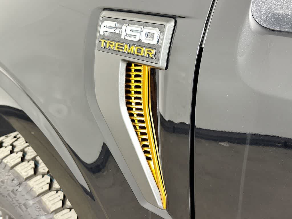 2025 Ford F-150 Tremor 7