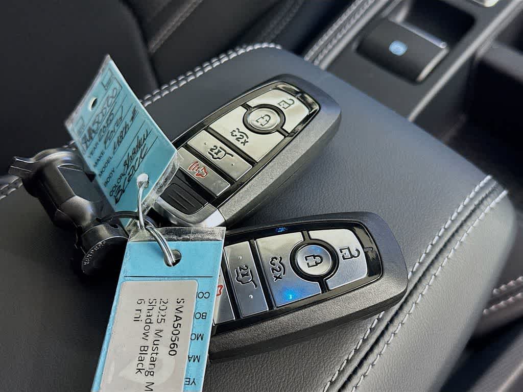 Thumbnail: 2025 Ford Mustang Mach-E - 20